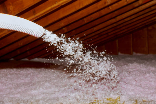 Best Insulation Maintenance and Repair in Aventura, FL