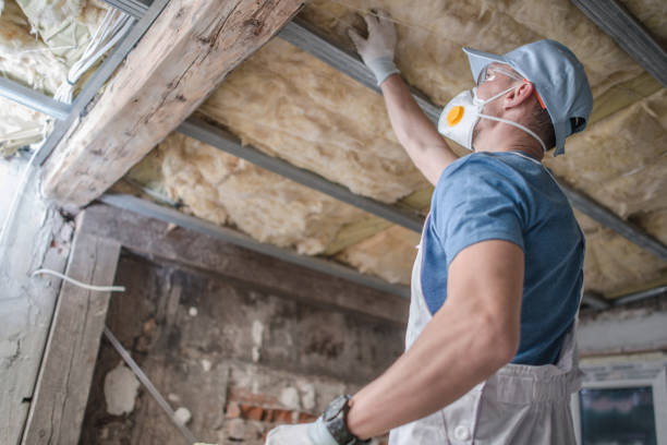 Best Residential Insulation in Aventura, FL