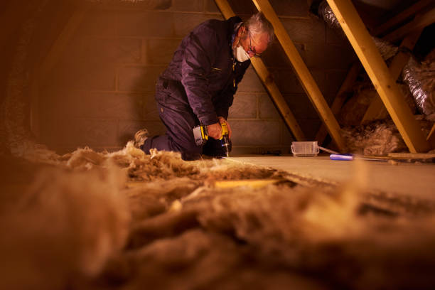 Types of Insulation We Offer in Aventura, FL