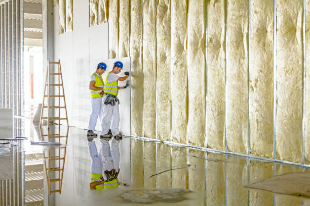 Best Commercial Insulation in Aventura, FL